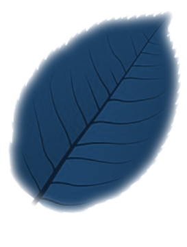 blad2